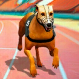 Super Crazy Real Dog Racing Game by Muhammad Imran