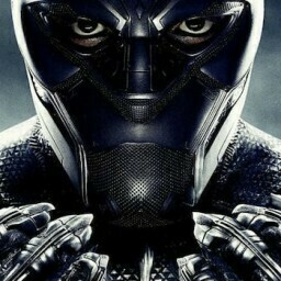 Black Panther Vibranium Hunt